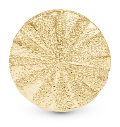 Sparkling Sunrays i forgyldt sterlingsølv 623-g382 — produktbilde