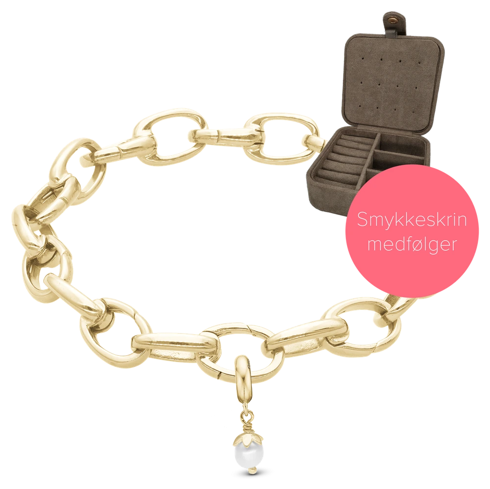 Embrace Forgyldt Link Armbånd Til Charms 625-Embrace-GP