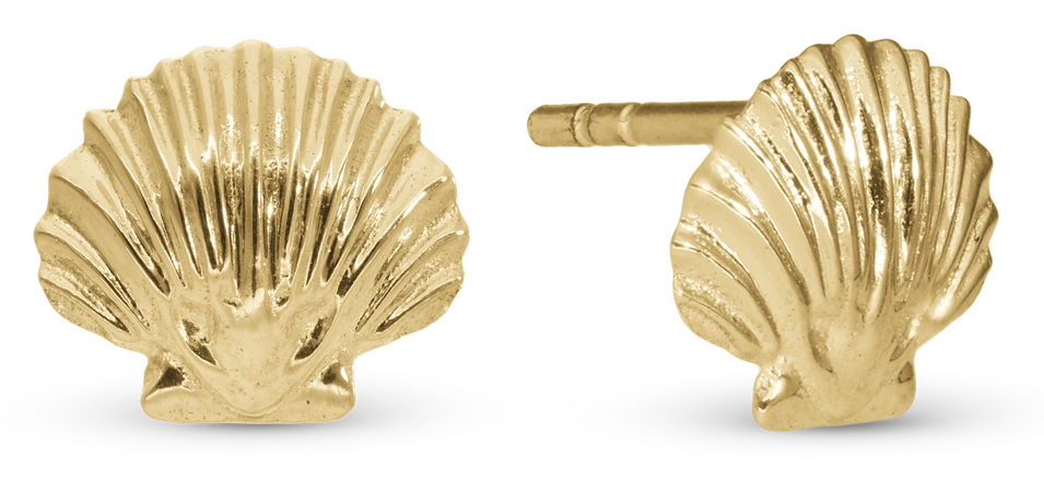 Clam Shell Ørestikker i forgyldt sterlingsølv 671-G129 — Produktfoto