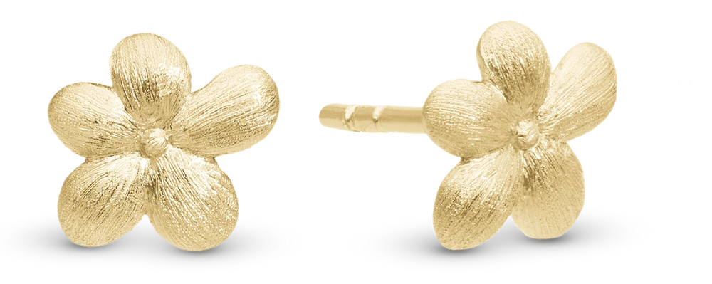 Graceful Flowers Ørestikker i forgyldt sterlingsølv 671-G136 — produktfoto