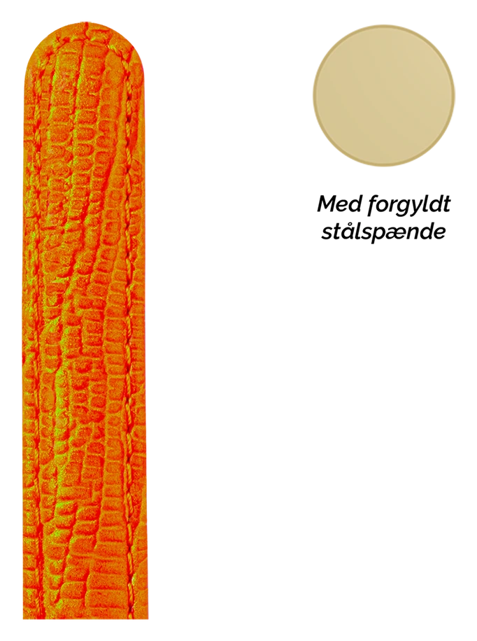 Collect SG16orange