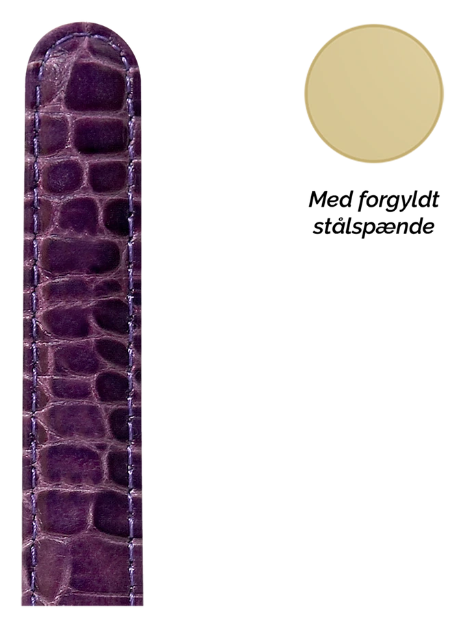 Collect SG16purple