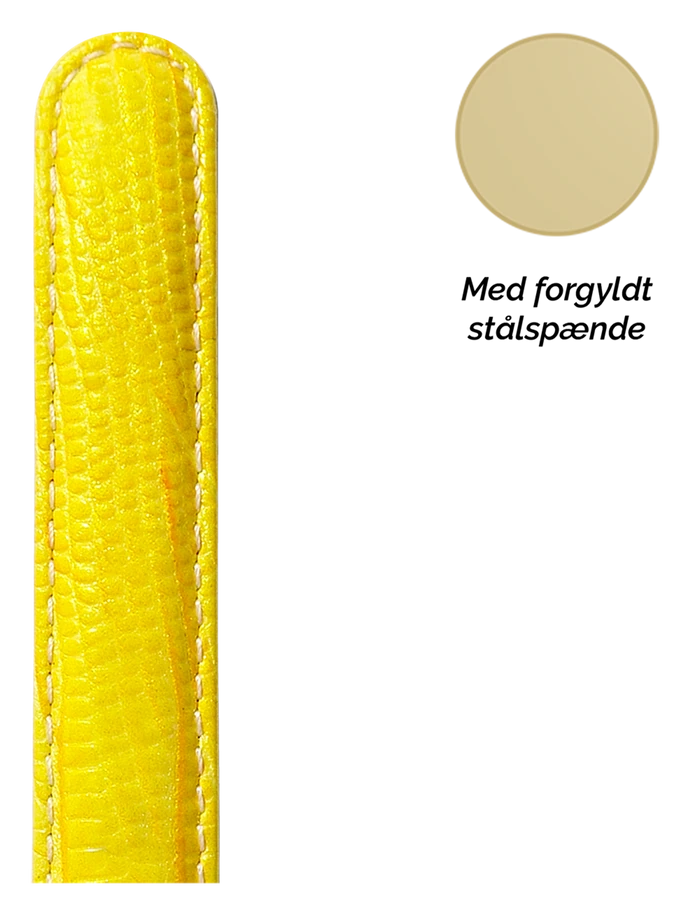 Collect SG16yellow