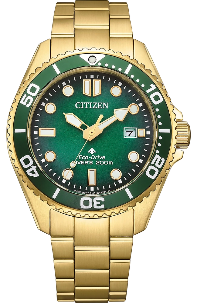 Promaster Eco-Drive Diver BN0262-59W